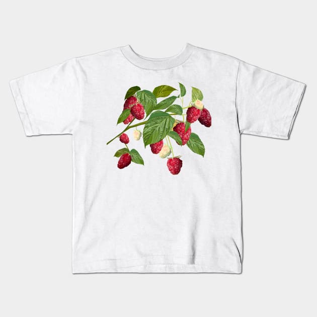 Raspberry Kids T-Shirt by smoochugs